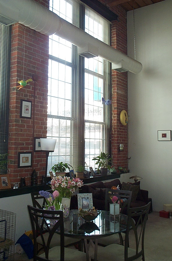 Massive windows in an old Philadelphia factory that was converted into loft apartments.