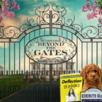 Cast the First Stone: Beyond the Gates commentary for the week ending February 27, 2026. Soap Central founder Dan J Kroll shares his opinions and editorial on daytime in a Two Scoops style column in a new home -- DanJKroll.com